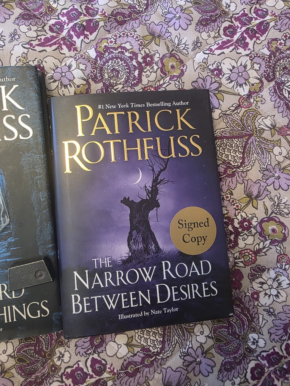 Patrick Rothfuss Lot - Picture 6 of 11